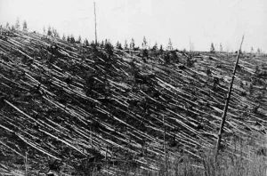 The Tunguska Event: What Really Happened in Siberia in 1908?
