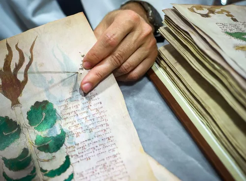Voynich Manuscript 1