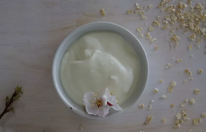 19 Digestive Health Foods for a Happy Gut 1 yogurt cup