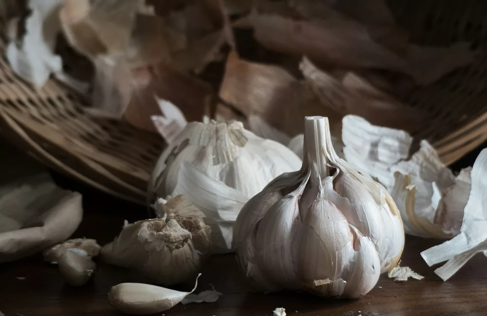 garlic