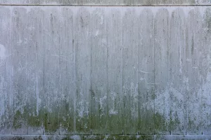 How to Get Rid of Mold Naturally