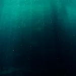 16 Shocking Facts About the Deep Ocean That Will Make You Question Reality