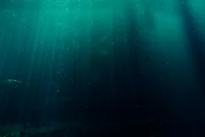 16 Shocking Facts About the Deep Ocean That Will Make You Question Reality