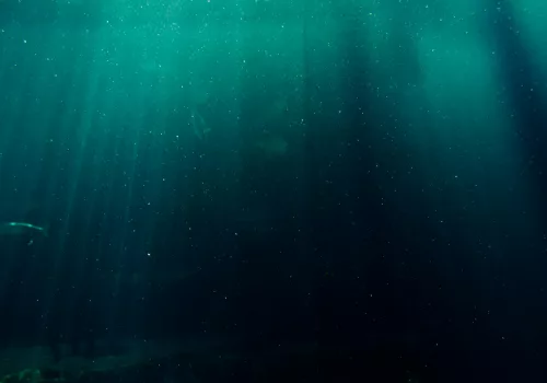 deep ocean