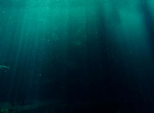 deep ocean