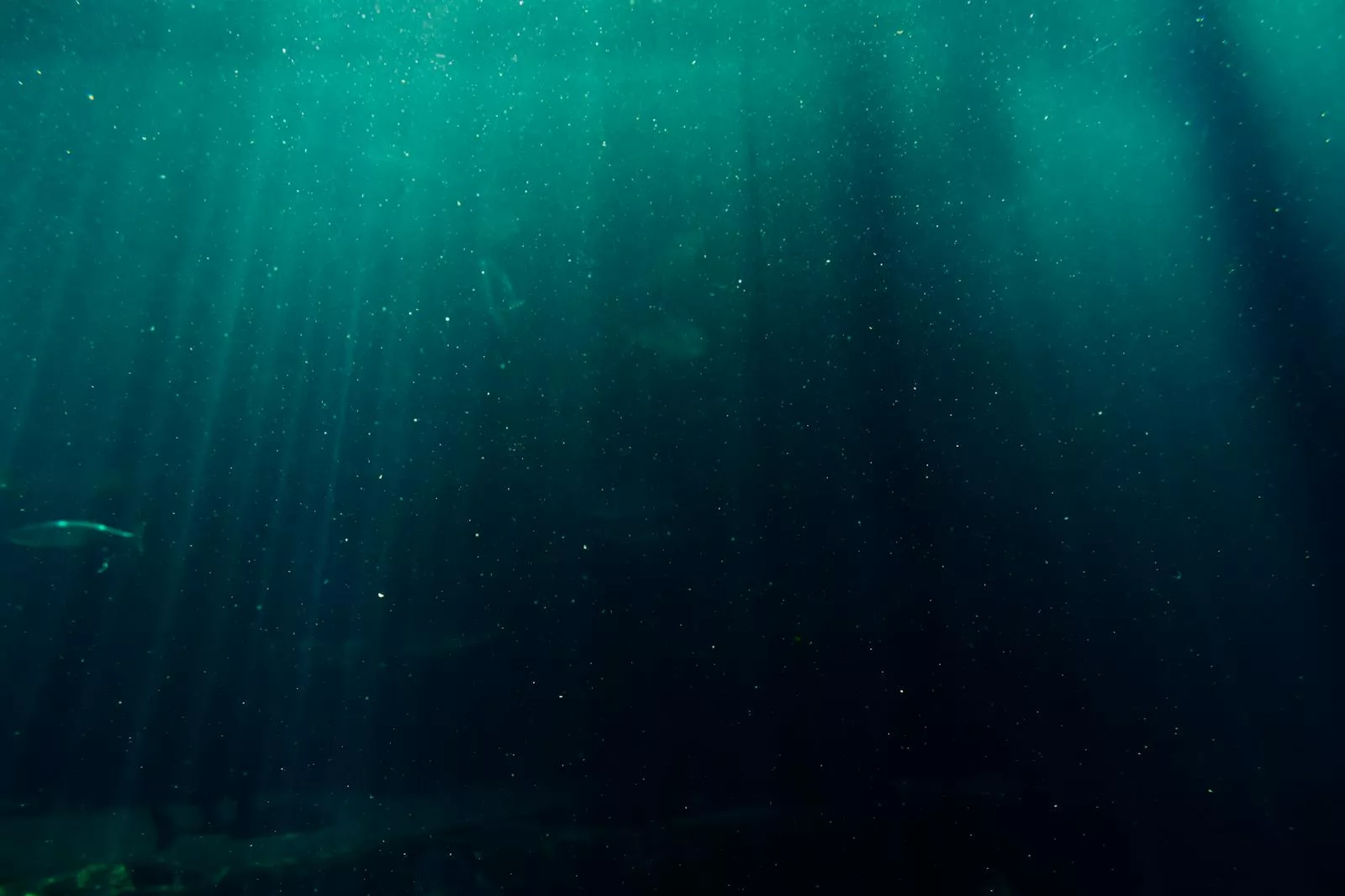 deep ocean