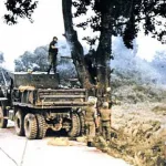 Operation Paul Bunyan: When the U.S. and North Korea Nearly Went to War Over a Tree