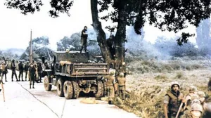 Operation Paul Bunyan: When the U.S. and North Korea Nearly Went to War Over a Tree 5 Operation Paul Bunyan: When the U.S. and North Korea Nearly Went to War Over a Tree