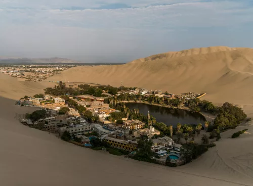 pexels mariacamila 7435822