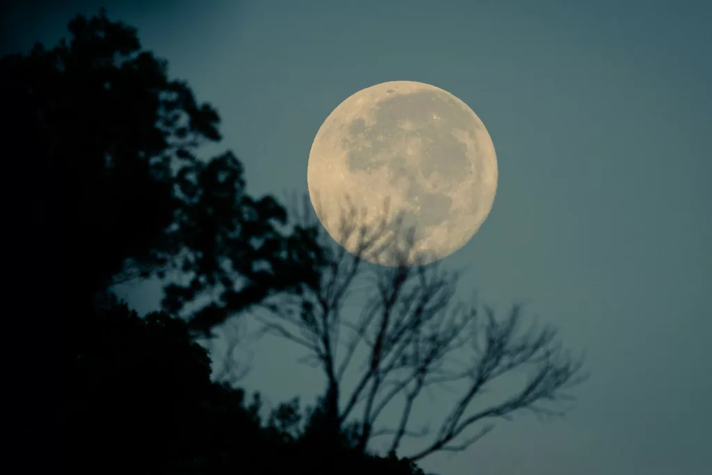 The Moon Illusion: Why the Moon Looks Bigger on the Horizon — But Isn’t