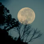 The Moon Illusion: Why the Moon Looks Bigger on the Horizon — But Isn’t