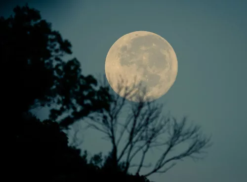 491a333f d88f 4630 b5a8 7b2733394d25 1