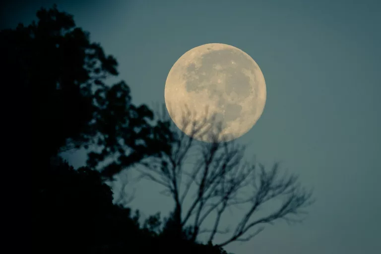 The Moon Illusion: Why the Moon Looks Bigger on the Horizon — But Isn’t