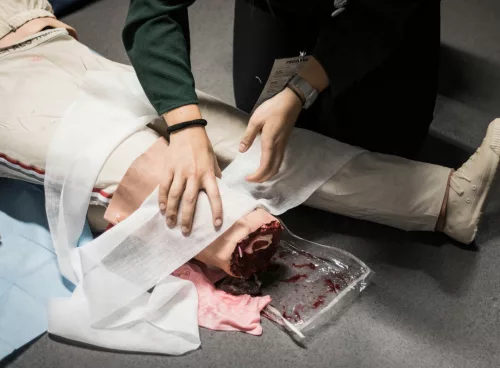 5325f11c dfed 42bd 9763 cfbad6412677 1