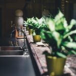 How to Start a Small Herb Garden in Your Kitchen