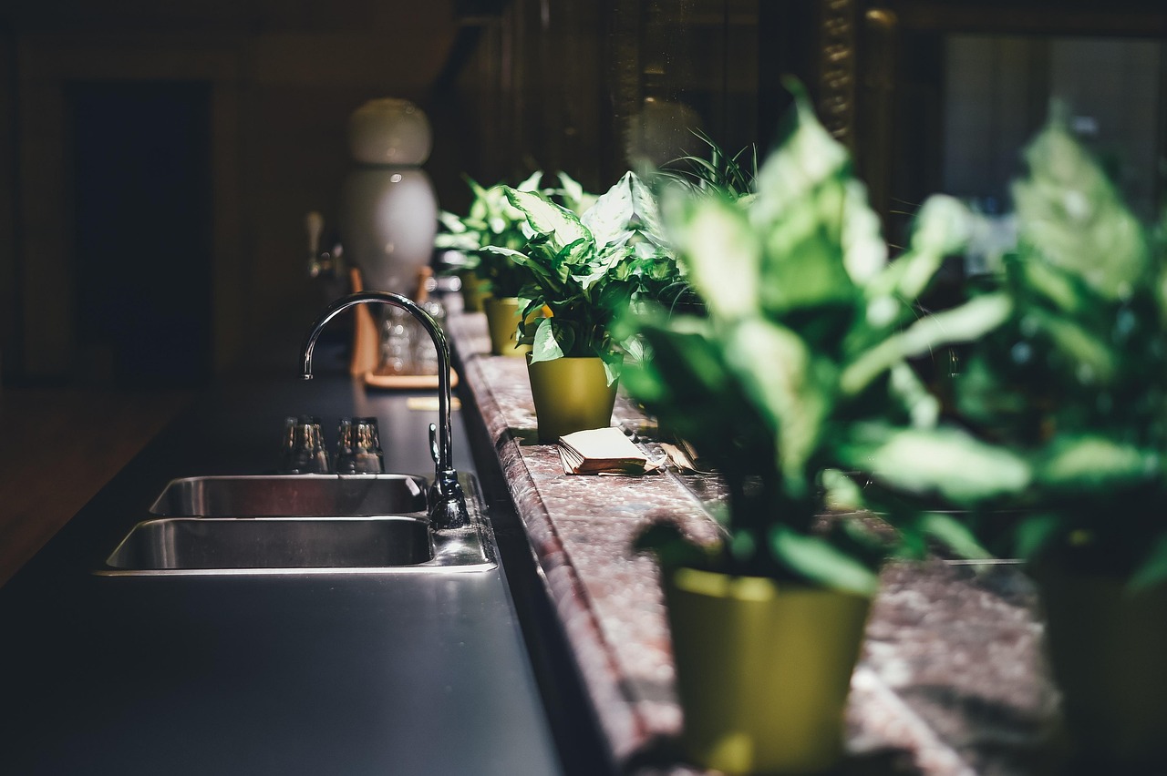 How to Start a Small Herb Garden in Your Kitchen 1 kitchen, tap, sink, faucet, furniture, home, indoors, interior design, interior decoration, tap water, kitchen sink, potted plants, kitchen, kitchen, kitchen, kitchen, kitchen, interior design