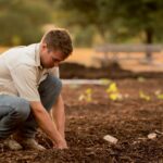 Top 15 Essential Tools Every Home Gardener Needs