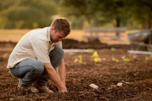 Top 15 Essential Tools Every Home Gardener Needs