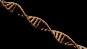 Is Race a Real Biological Concept?